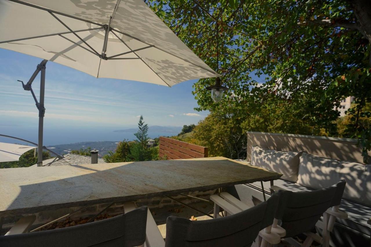 Pelion Homes Villa Iris Private Pool 4 Rooms Pílio Kültér fotó